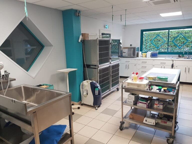 Salle de soins et de préparation