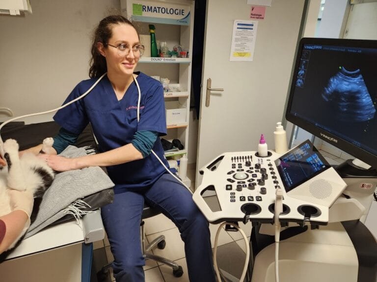 Appareil d’échographie