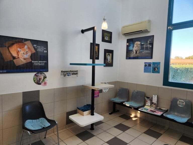 Salle d'attente chat