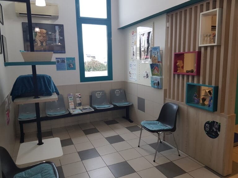 Salle d'attente chat