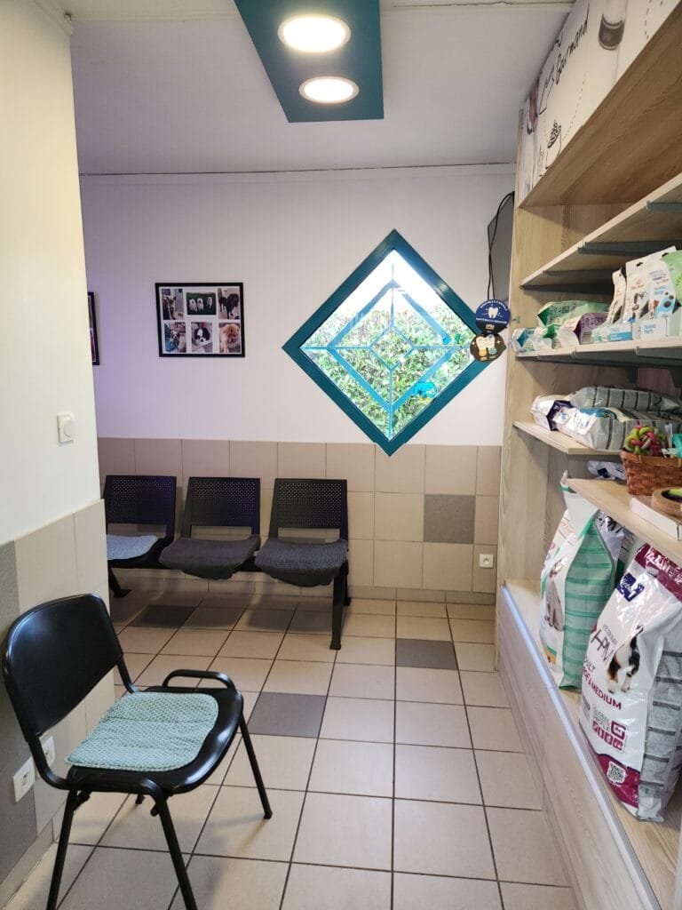 Salle d'attente chien